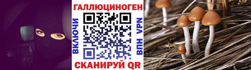 мега маркетплейс  Кодинск  Галлюциногенные грибы GOLDEN TEACHER 